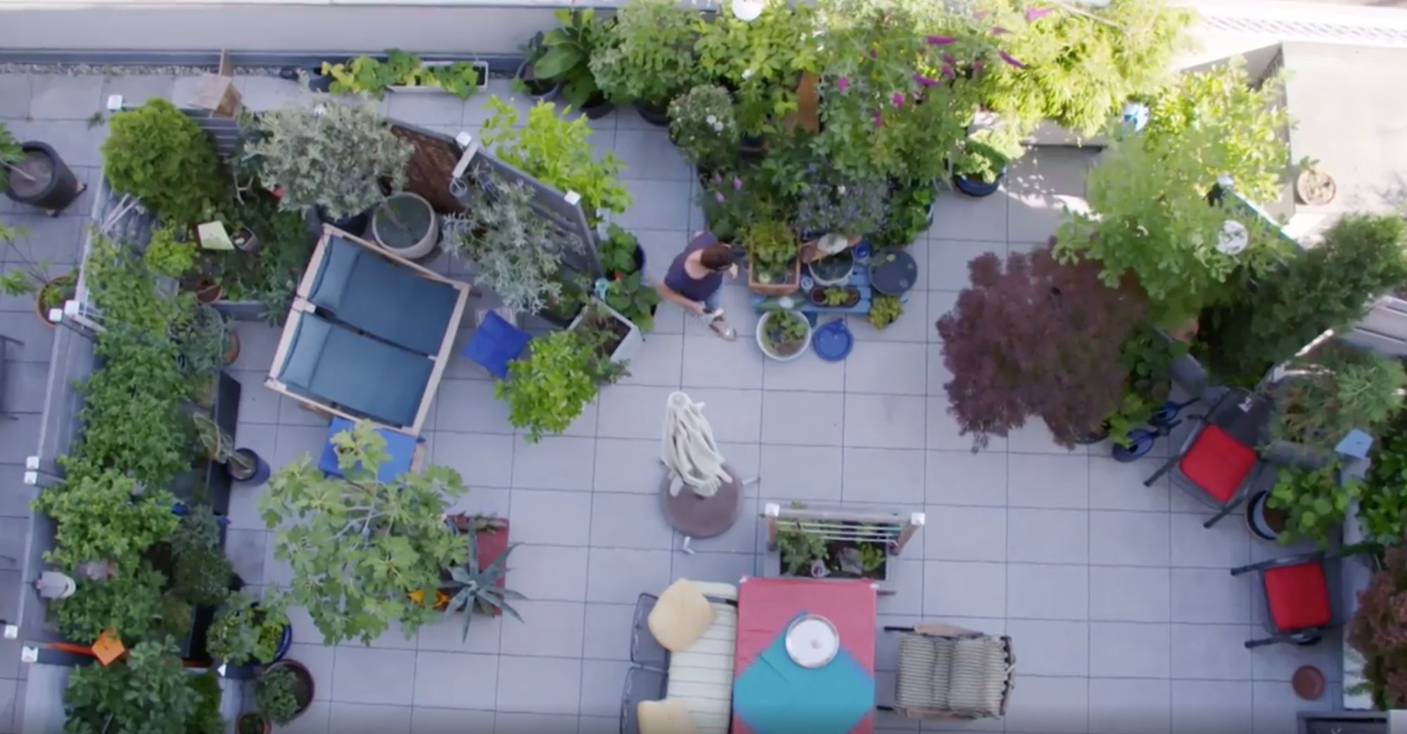 Luftaufnahme einer begrünten Dachterrasse mit Pflanzen, Möbeln und einer Person