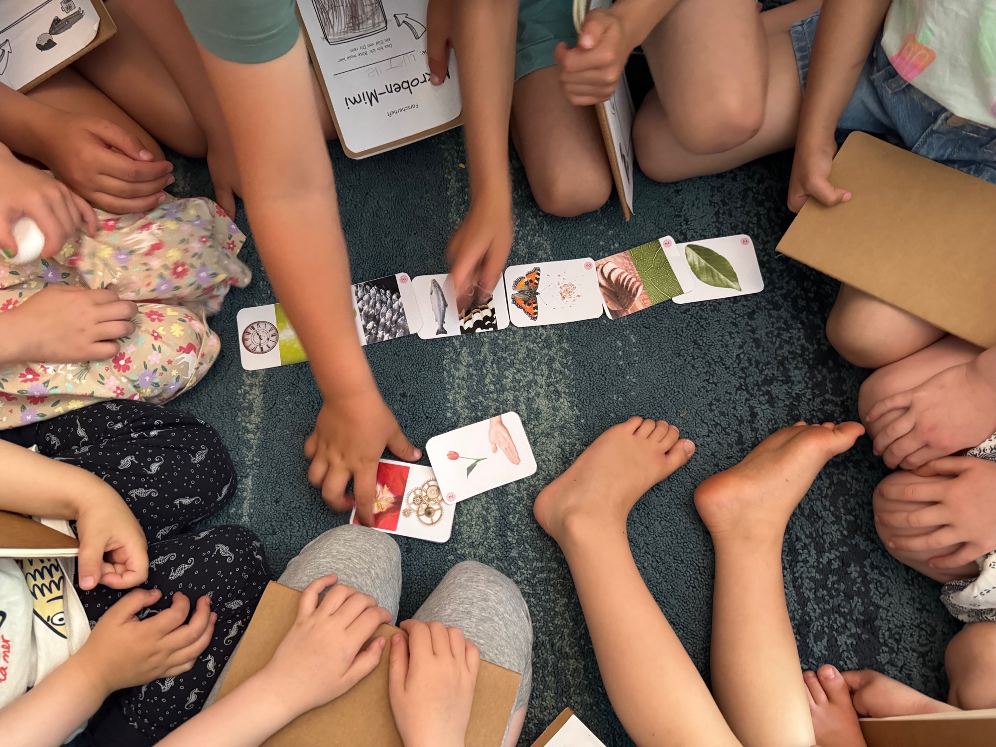 Luftaufnahme einer Kindergruppe im Kreis um ausgelegte, illustrierte Forschungskarten des Mikroben-Mimi-Spiels